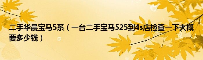 二手华晨宝马5系（一台二手宝马525到4s店检查一下大概要多少钱）