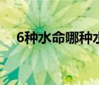 6种水命哪种水最好（6种水命哪个最好）