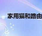 家用猫和路由器连接（猫和路由器连接）