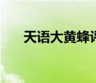 天语大黄蜂评测（天语大黄蜂怎么样）