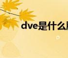 dve是什么牌子（什么牌子的dv好）
