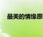 最美的情缘原唱mp3（最美的情缘原唱）