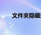 文件夹隐藏选项变灰（文件夹 隐藏）