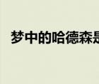 梦中的哈德森是什么意思（梦中的哈德森）