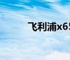 飞利浦x650手机（飞利浦x650）