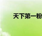 天下第一粉总店在哪（天下第一粉）