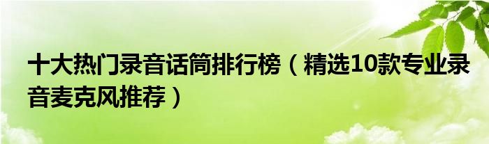 十大热门录音话筒排行榜（精选10款专业录音麦克风推荐）