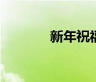 新年祝福语创意（过年祝福）
