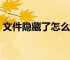 文件隐藏了怎么找出来（隐藏文件怎么显示）