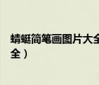 蜻蜓简笔画图片大全尾巴西北方向朝上（蜻蜓简笔画图片大全）