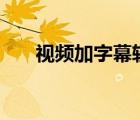 视频加字幕软件app（给视频加字幕）