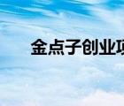 金点子创业项目（创新创业项目点子）