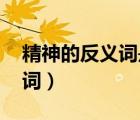 精神的反义词是什么 标准答案（精神的反义词）