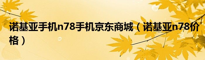 诺基亚手机n78手机京东商城（诺基亚n78价格）