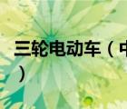 三轮电动车（中国电动三轮车十大品牌是那些）