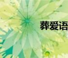 葬爱语录大全（葬爱语录）