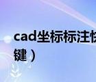 cad坐标标注快捷键命令（cad坐标标注快捷键）