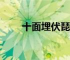 十面埋伏琵琶几级（十面埋伏琵琶）