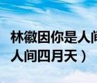 林徽因你是人间四月天诗歌原文（林徽因你是人间四月天）