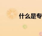 什么是专科学校（什么是专科）