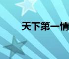 天下第一情歌词（天下第一情原唱）