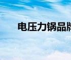 电压力锅品牌（什么牌的电压力锅好）