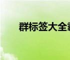 群标签大全霸气4个字（群标签大全）