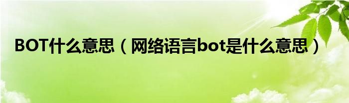 BOT什么意思（网络语言bot是什么意思）