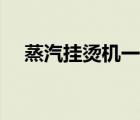 蒸汽挂烫机一插电就跳闸（蒸汽挂烫机）