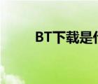 BT下载是什么（bt下载什么意思）