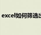 excel如何筛选出指定内容（excel如何筛选）