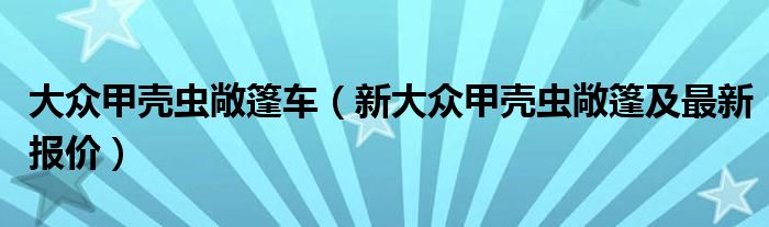 大众甲壳虫敞篷车（新大众甲壳虫敞篷及最新报价）