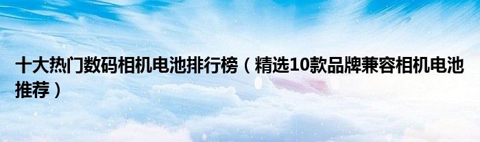 十大热门数码相机电池排行榜（精选10款品牌兼容相机电池推荐）