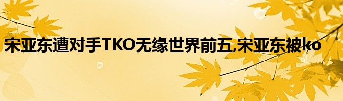 宋亚东遭对手TKO无缘世界前五,宋亚东被ko