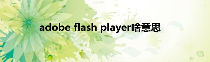 adobe flash player啥意思