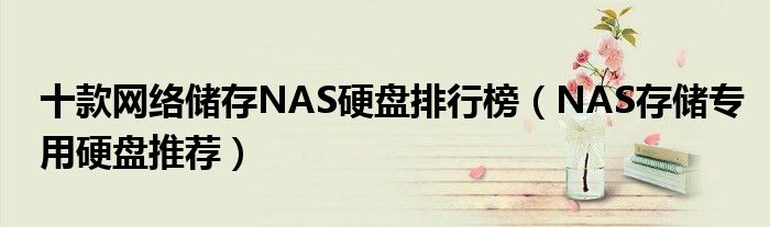 十款网络储存NAS硬盘排行榜（NAS存储专用硬盘推荐）