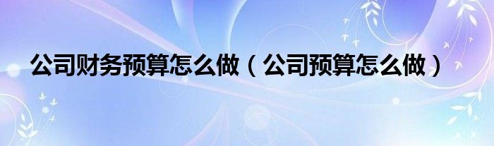 公司财务预算怎么做（公司预算怎么做）