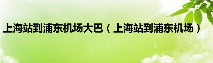 上海站到浦东机场大巴（上海站到浦东机场）