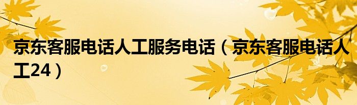 京东客服电话人工服务电话（京东客服电话人工24）-66绿色资源网-第3张图片