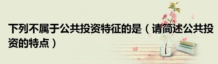 下列不属于公共投资特征的是（请简述公共投资的特点）