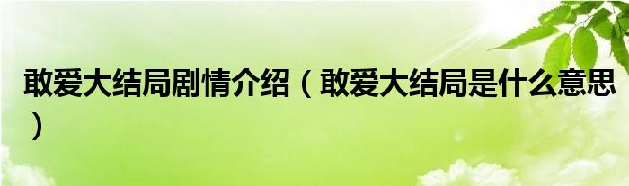 敢爱大结局剧情介绍（敢爱大结局是什么意思）