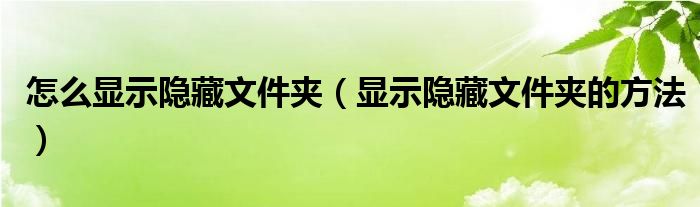 怎么显示隐藏文件夹（显示隐藏文件夹的方法）