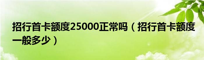 招行首卡额度25000正常吗（招行首卡额度一般多少）-66绿色资源网-第3张图片