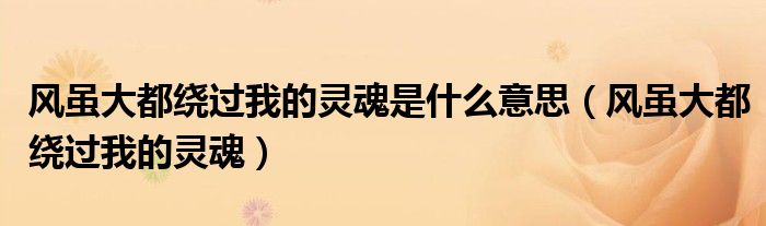 风虽大都绕过我的灵魂是什么意思（风虽大都绕过我的灵魂）-66绿色资源网-第3张图片