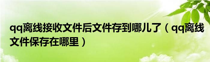 qq离线接收文件后文件存到哪儿了（qq离线文件保存在哪里）