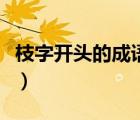 枝字开头的成语接龙大全集（枝字开头的成语）