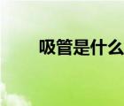 吸管是什么垃圾（吸管是什么垃圾）