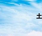 土蚂蚱（土蚂蚱）