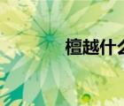 檀越什么意思（ty什么意思）