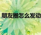 朋友圈怎么发动态文字（朋友圈怎么发动态）